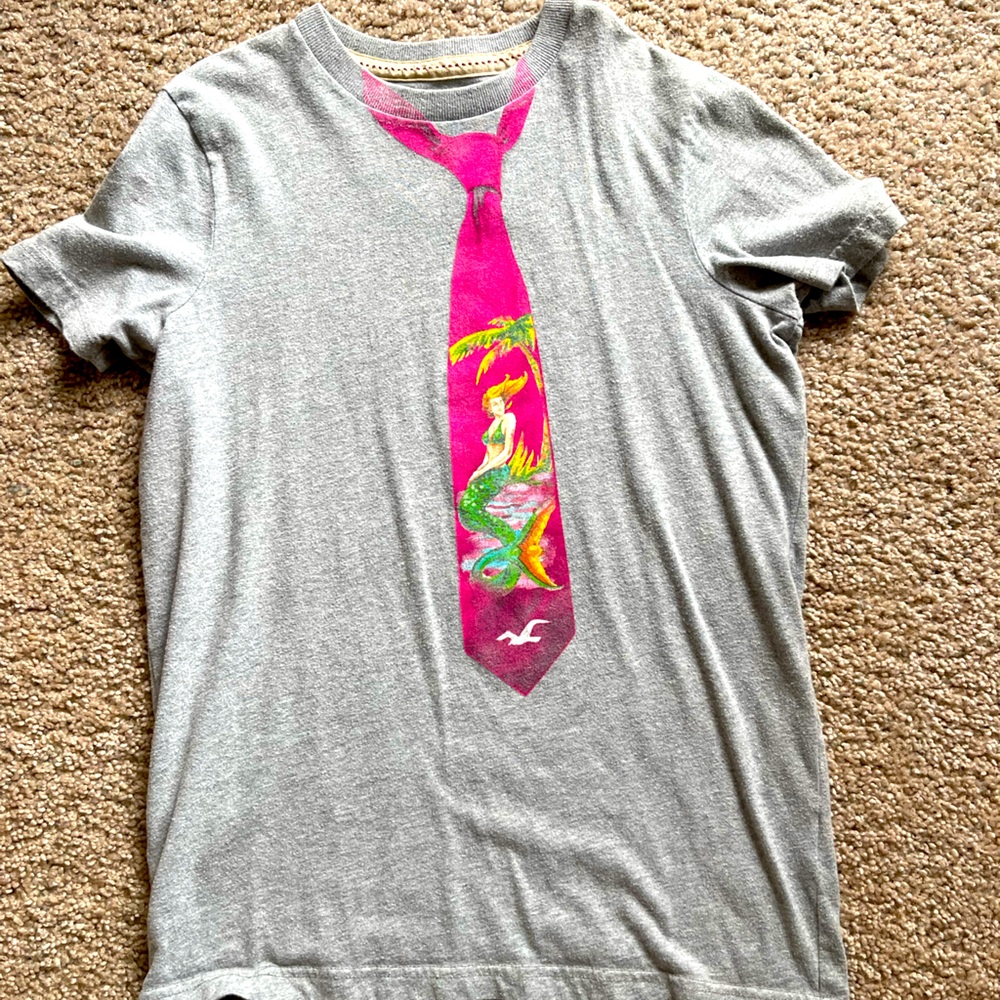 Hollister, short sleeve T-shirt, small